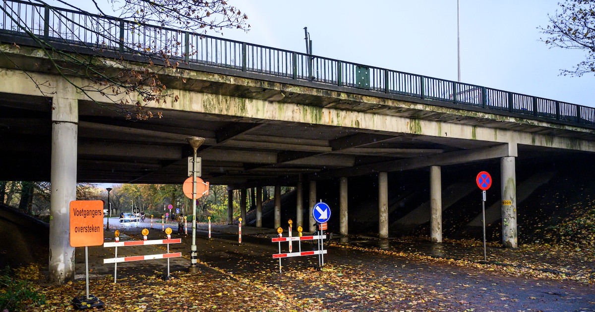 Hinder door werken aan bruggen E313 vanaf 30 maart