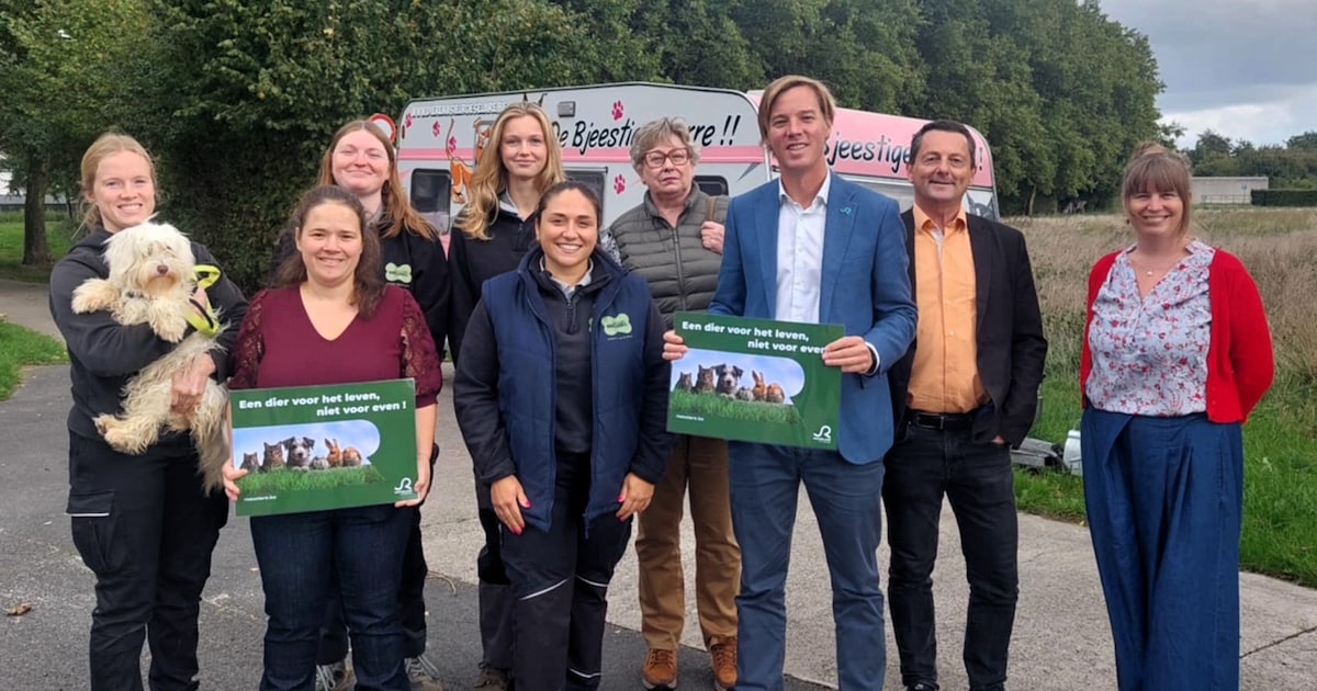 Gratis infosessies en advies op Werelddierendag: Roeselare ...