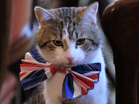 Larry de kat.
