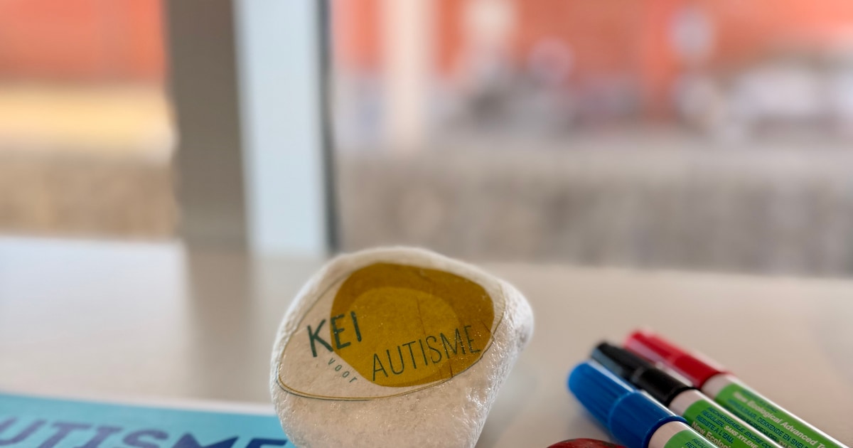 Putte doet mee aan de actie ‘Kei voor Autisme’: “Breng een kei mee naar de bib”