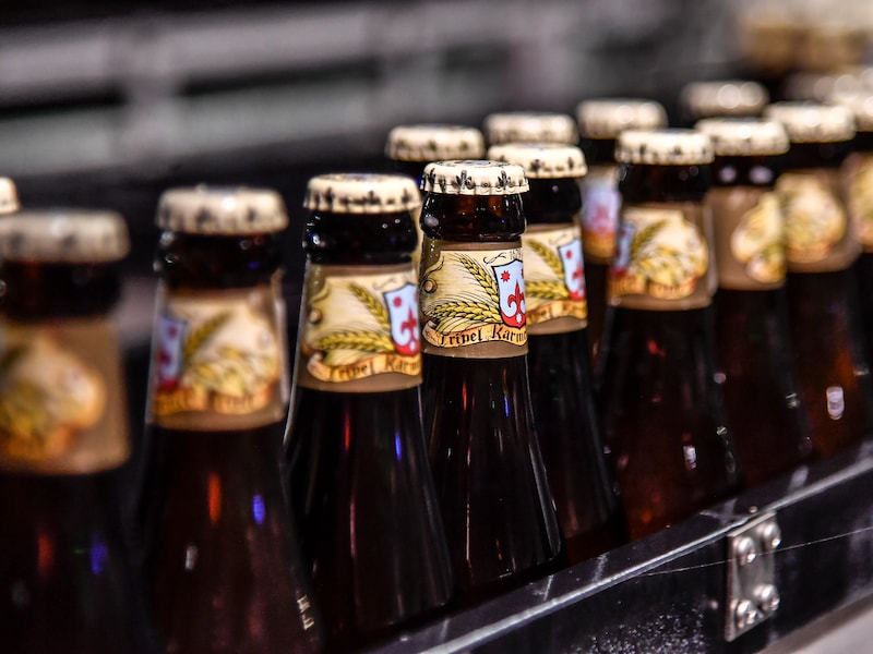 De Vossen op Kwaktocht