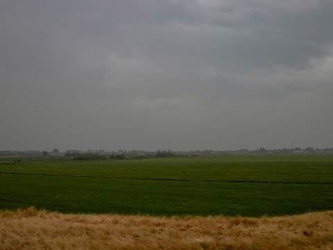 Zwaar bewolkt met wat lichte regen in Bierbeek in de namiddag