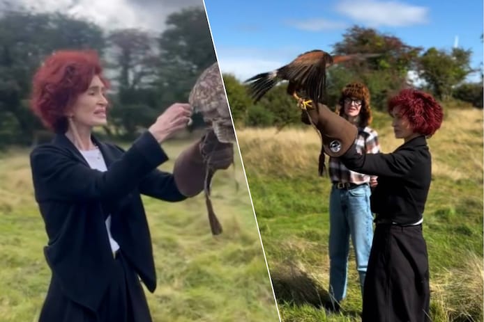 Broze Sharon Osbourne toont zich voor het eerst sinds dood van man Ozzy |  Celebrities | hln.be