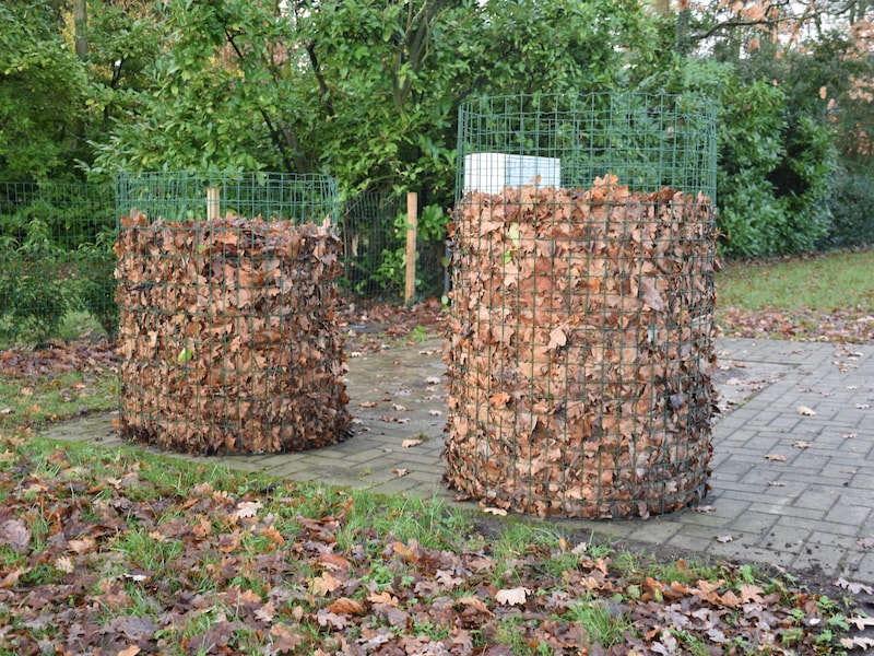 Inwoners Essen kunnen bladafval gratis naar recyclagepark brengen