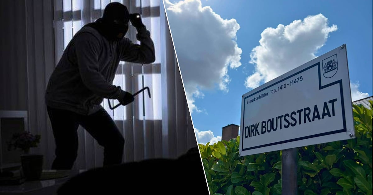 Inbrekers klimmen via tuintafel naar eerste verdieping en gaan op zoek naar juwelen in villawijk Rod