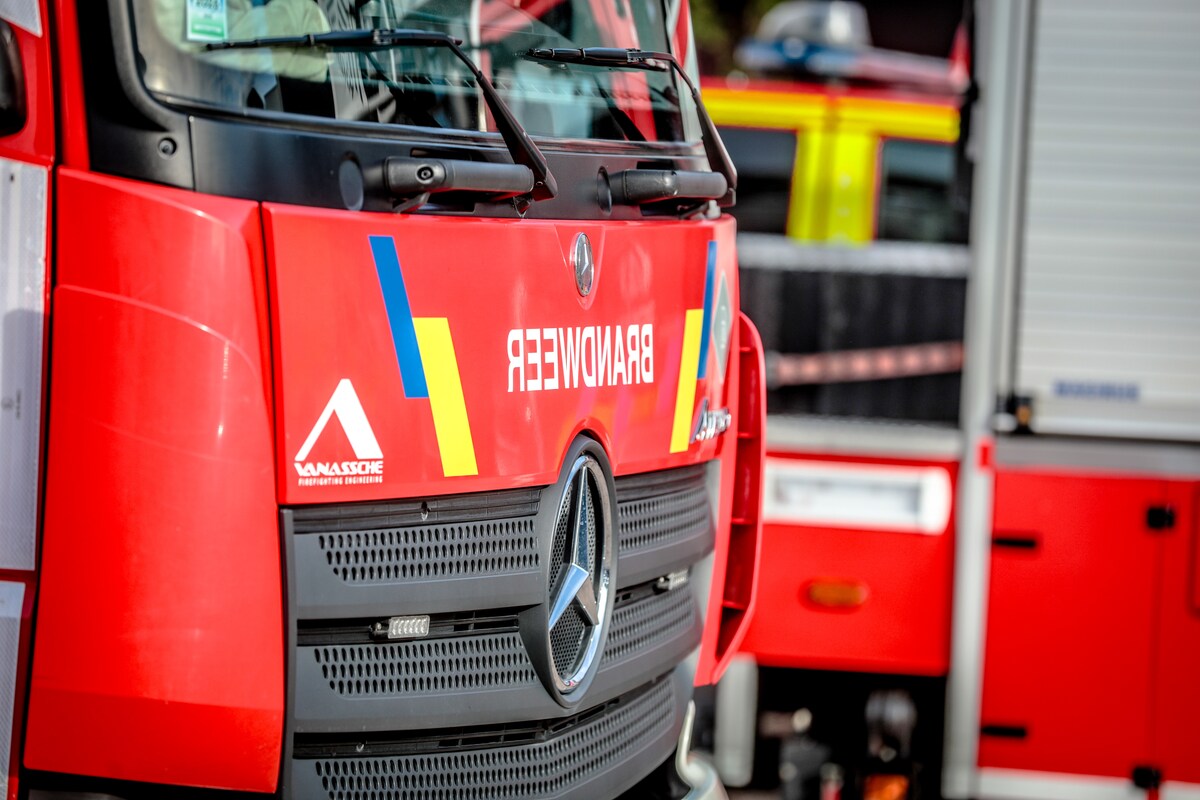 Una imagen para ilustración. 