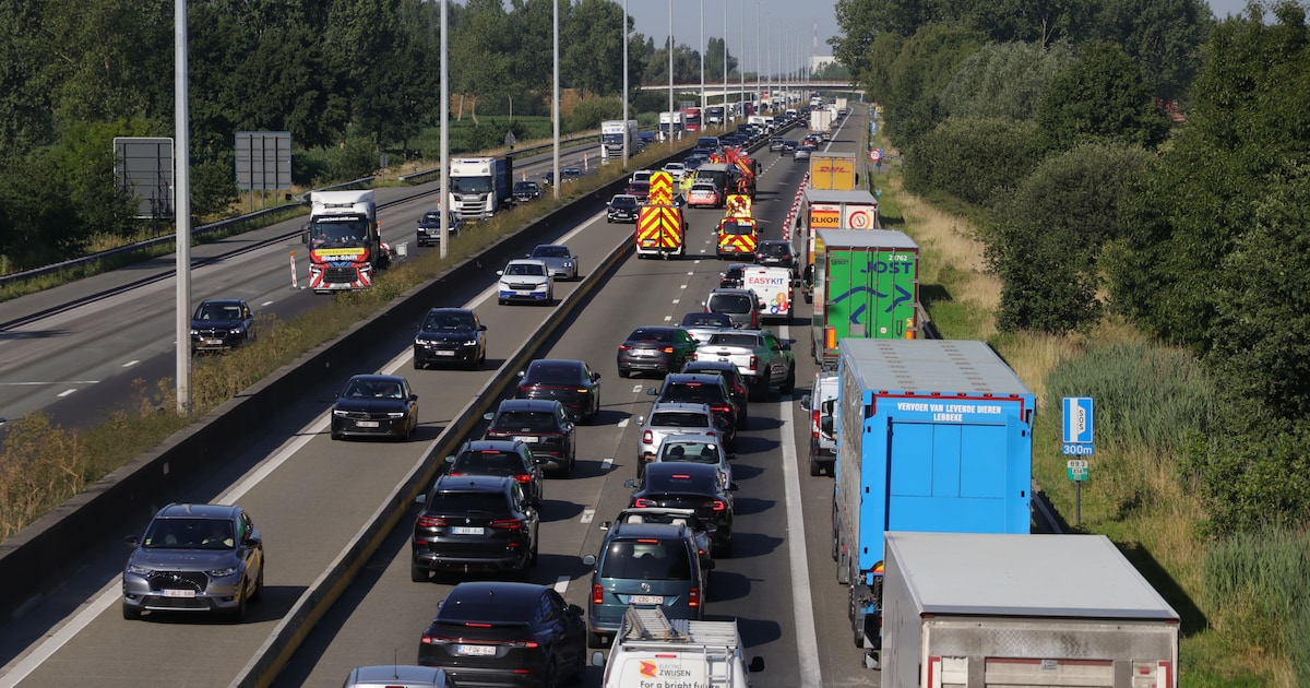 Stevige file op E17 richting Antwerpen na ongeval ter hoogte van Zwijndrecht: weg opnieuw vrij