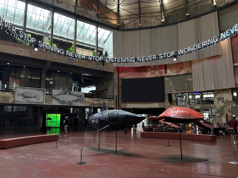 Deze expo in het Wintercircus duikt in de onderwaterwereld