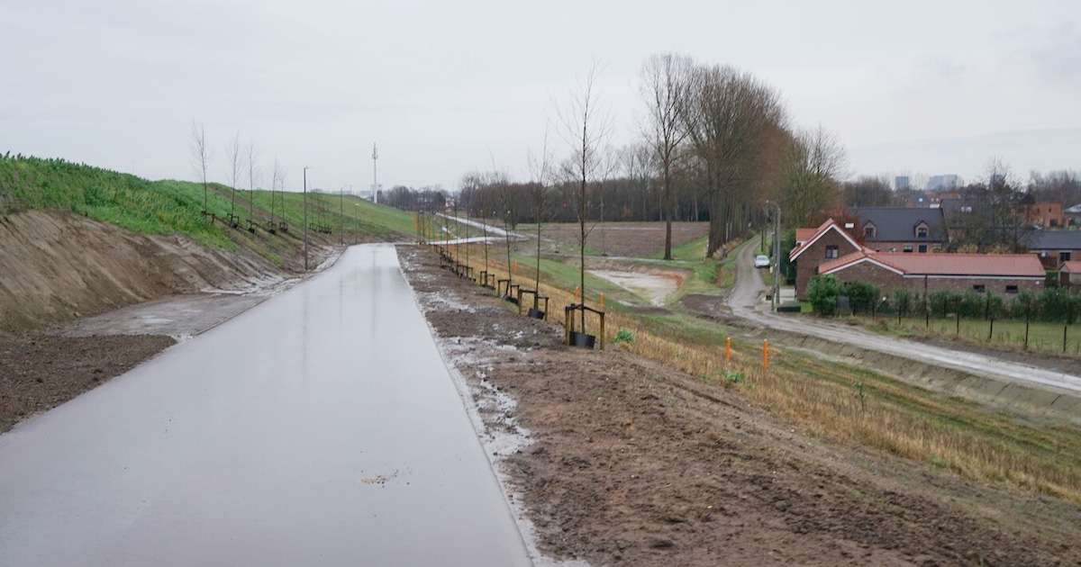 Minderjarige fietser lichtgewond bij aanrijding Korenheidestraat