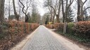 De Molenstraat in Waasmunster