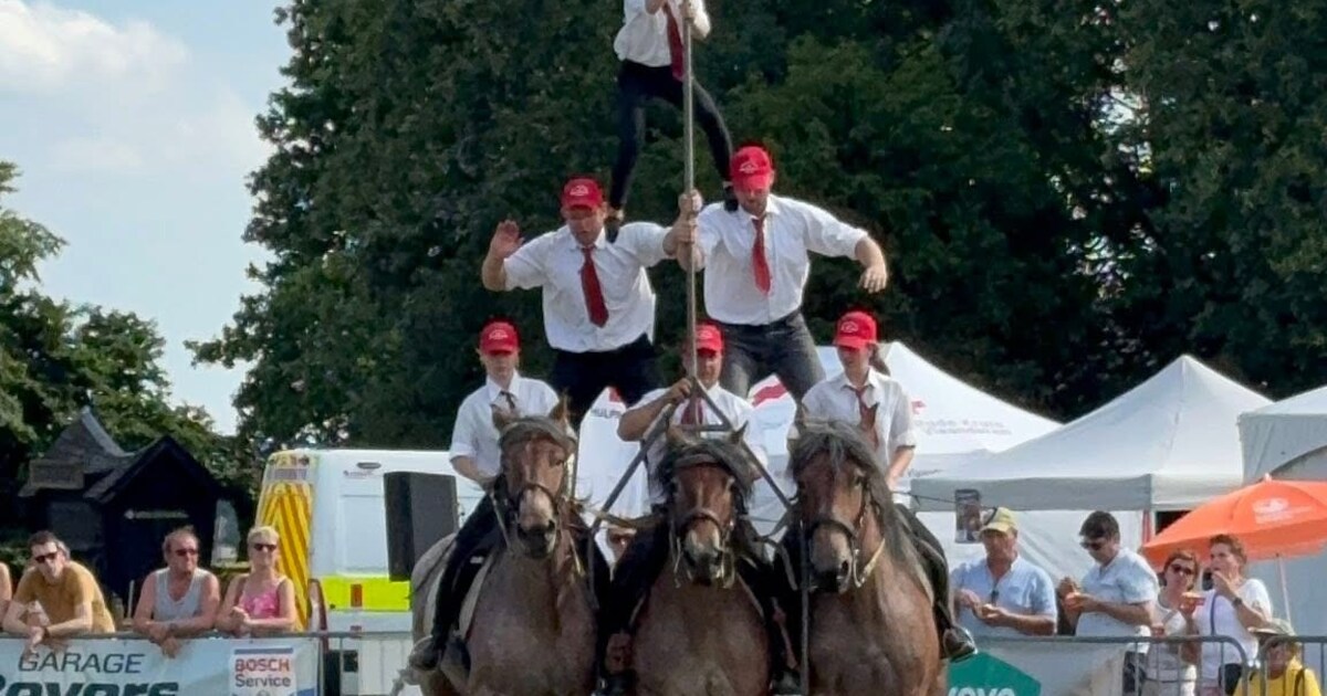 Trekpaardenweekend strijkt opnieuw neer in Belzele: “Een familiefeest waar jong en oud welkom is”