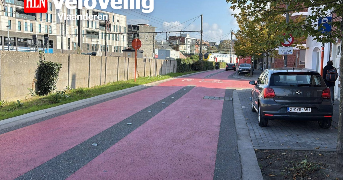 Fietsstraten in Hasselt blijken succes: al voelen niet alle bewoners zich even veilig op de fiets
