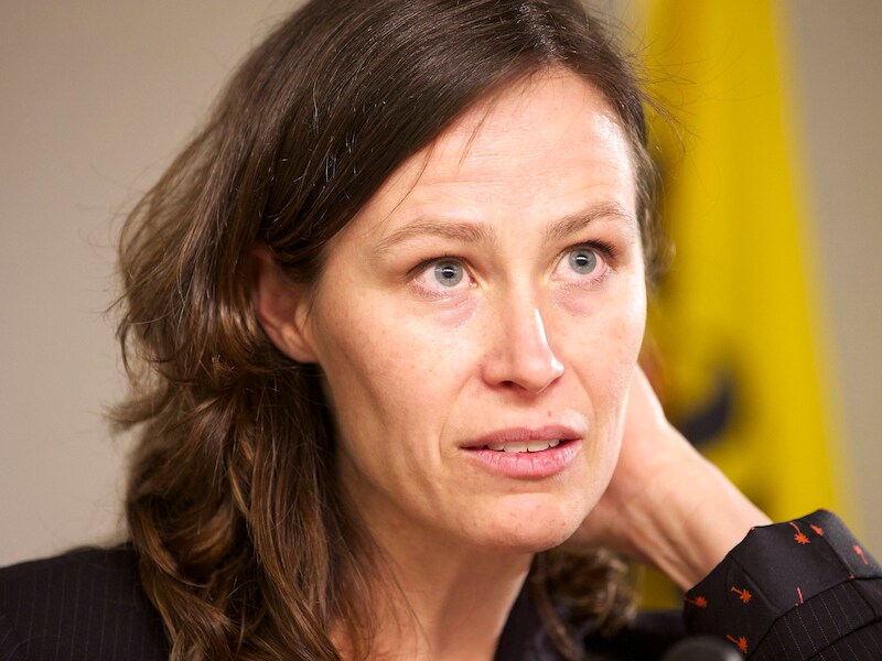 Vlaams minister van Wonen Freya Van den Bossche.