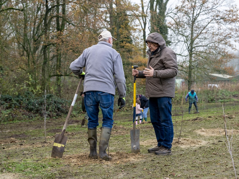 Illustratiefoto plantactie