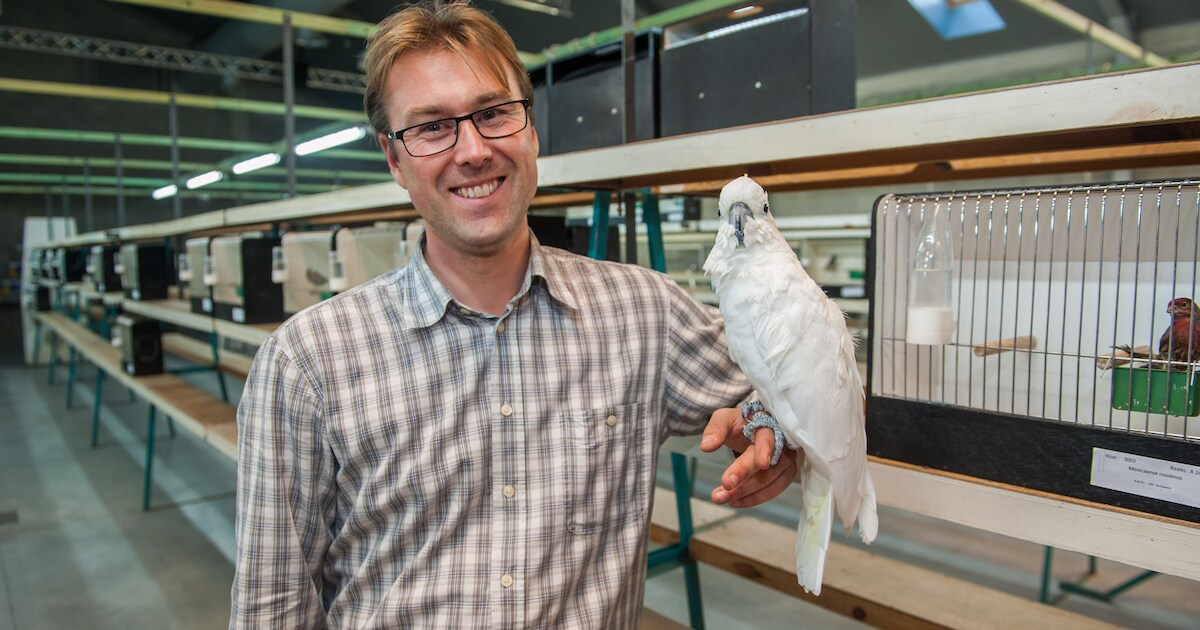 honderden-vogels-palmen-depot-deluxe-in-voor-jaarlijkse-show-van-de