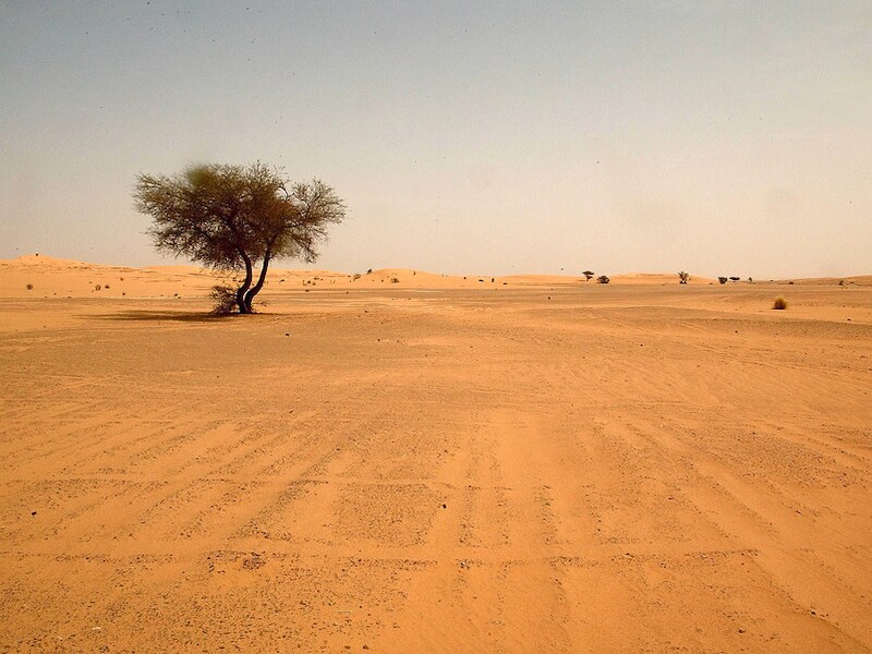 Sahara woestijn in Zuid-Algerije