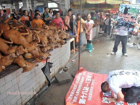 Dierenrechtenorganisaties protesteren tegen het jaarlijkse festival.