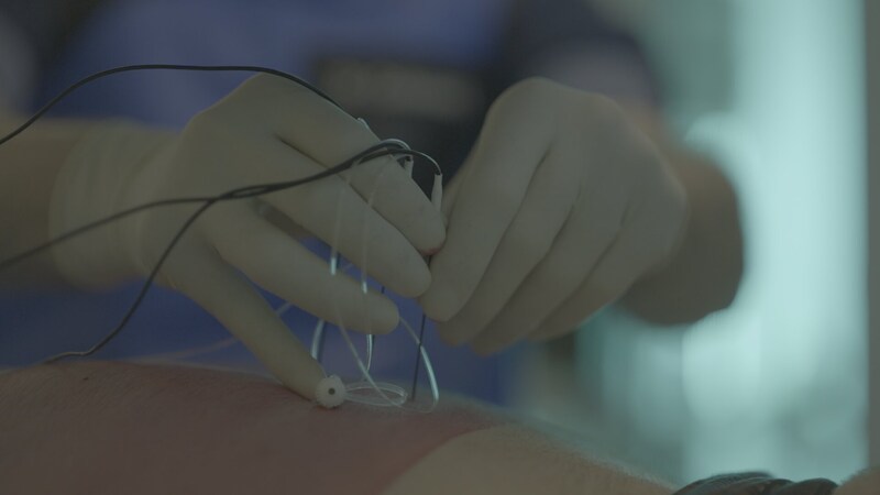An image from the 'Pano' report: 'On the patient's back' 