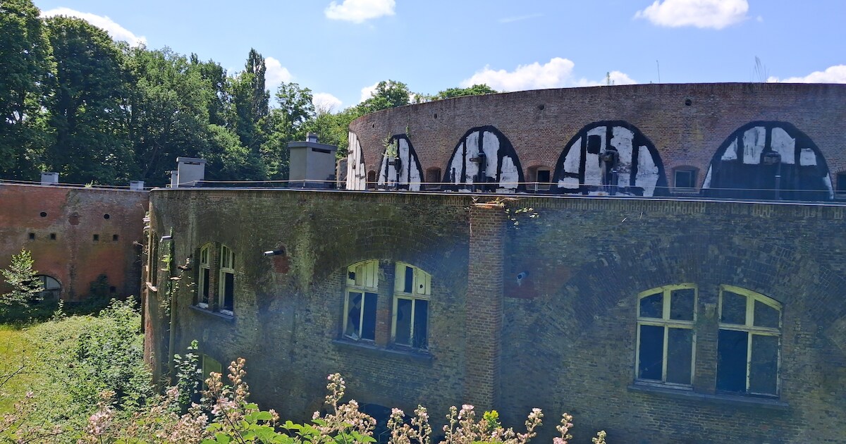 Ontspan met Tai Chi en Qigong in het park van Fort 4 in Mortsel