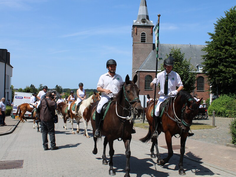 Wat te doen in de Denderstreek en Vlaamse Ardennen dit weekend? Van ruiterommegang tot viering van wielerlegende
