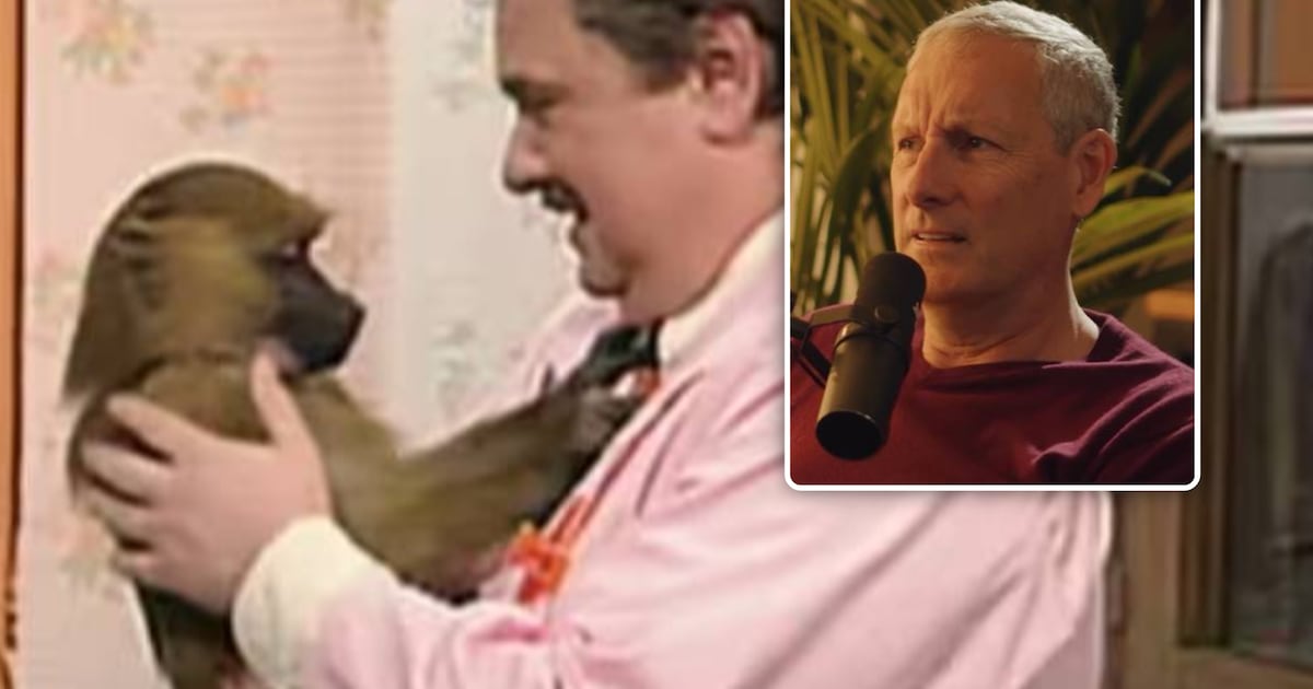 Gert Verhulst over gevaarlijke exotische dieren op de set van ‘Samson’: “Beer heeft de keukenkast ka