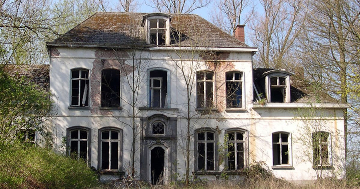 Vosselaar wil natuurbegraafplek inrichten aan 't Hof: dit staat er nog op de agenda van de gemeenter