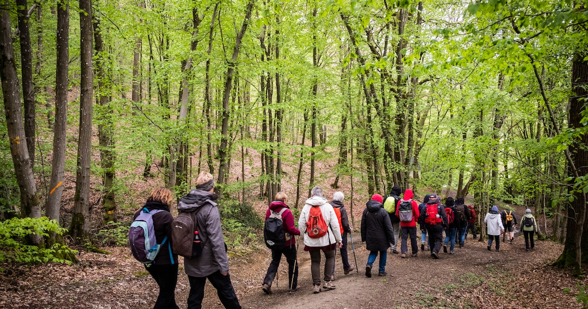 Wandelsportvereniging houdt opendeurdag met pannenkoeken