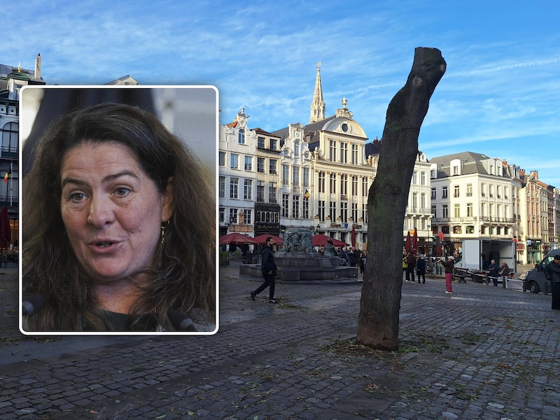 Alle bomen op de Grasmarkt in Brussel werden gerooid uit veiligheid na storm Austen. Inzet: gemeenteraadslid Lotte Stoops vindt dat die beslissing veel te snel werd gemaakt.