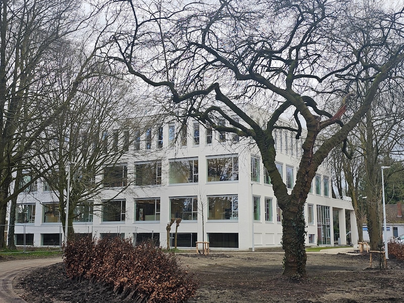 Oppepper vindt plaats in het gemeentehuis van Brecht.