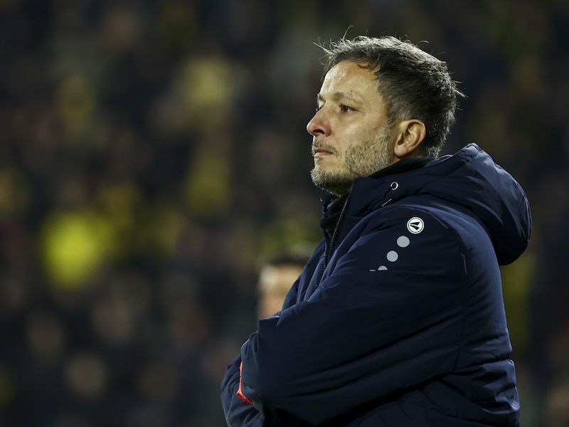 
Christophe Grégoire betaalt het gelag bij Lierse: club zet trainer op de keien
