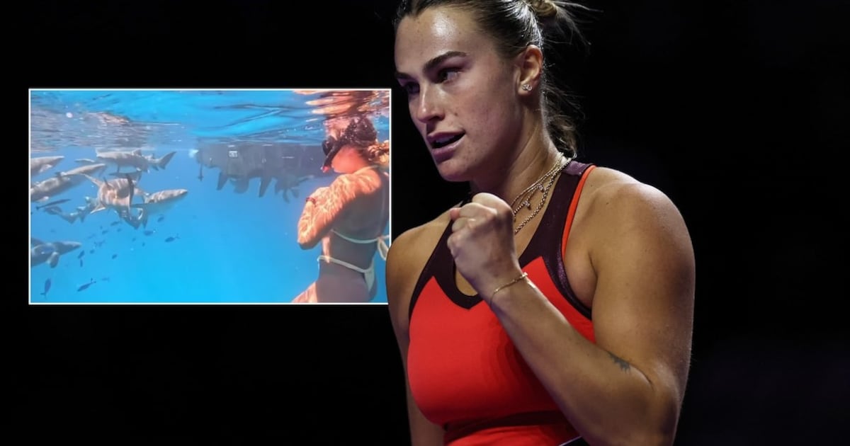 KIJK. Beste tennisster ter wereld zwemt tijdens haar vakantie tussen de haaien: “Gewoon een dag in h