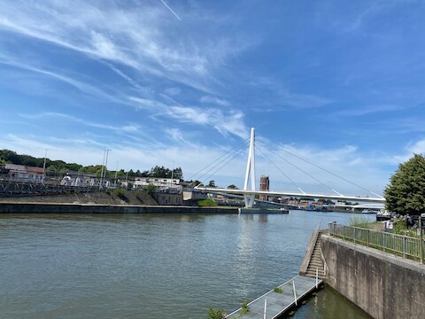 Op verschillende plaatsen langs het Albertkanaal tussen Ham en Antwerpen is een blauwalgenbloei vastgesteld. Daardoor gelden er tijdelijk verschillende veiligheidsmaatregelen.