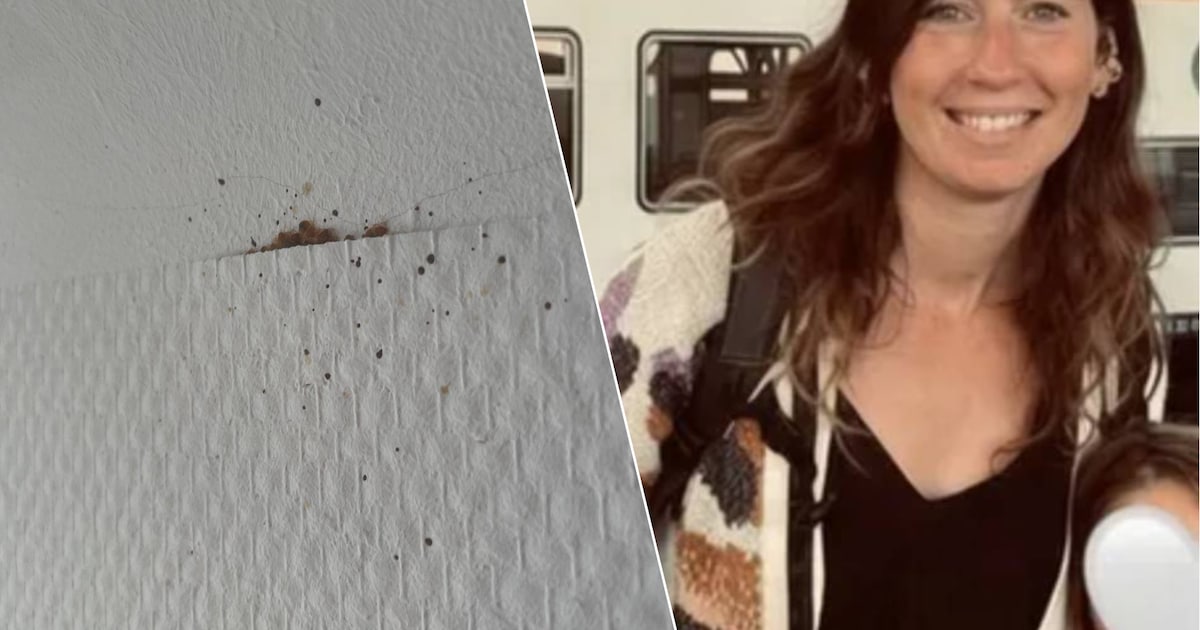 “Bedwantsen zaten in muren, vloeren en zelfs stopcontacten”: alleenstaande mama Tina (37) verhuurt w