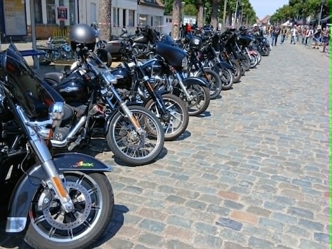 Harley Days in Bassevelde.