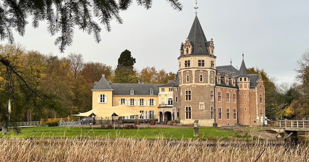 Kasteel de Renesse maakt zich op voor maandelijkse boekenmarkt