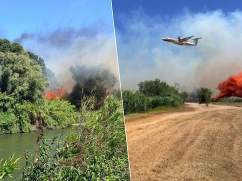 Zuid-Frankrijk geteisterd door zware bosbranden: 256 bungalows op campings  nabij Perpignan gaan in vlammen op, al 7.000 branden geregistreerd | Weer &  Wetenschap | HLN.be