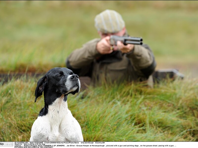 Niet de man, maar de hond haalde deze keer de trekker over.