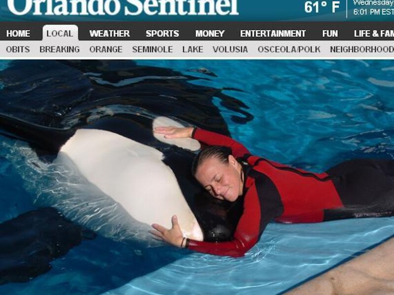 De ervaren trainster Dawn Brancheau werd gedood door de orka.