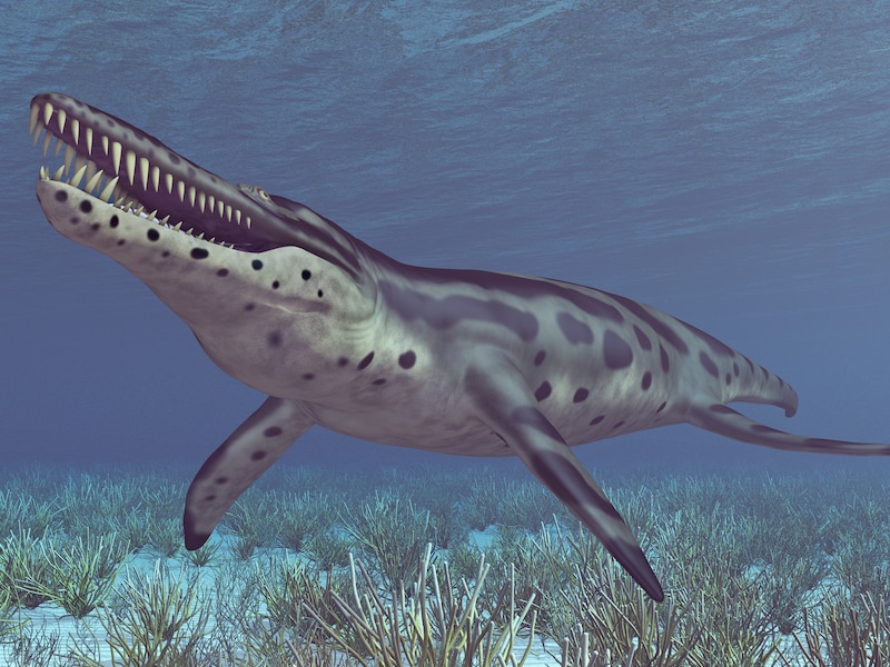 Een computergegenereerd beeld van de uitgestorven pliosaurus.
