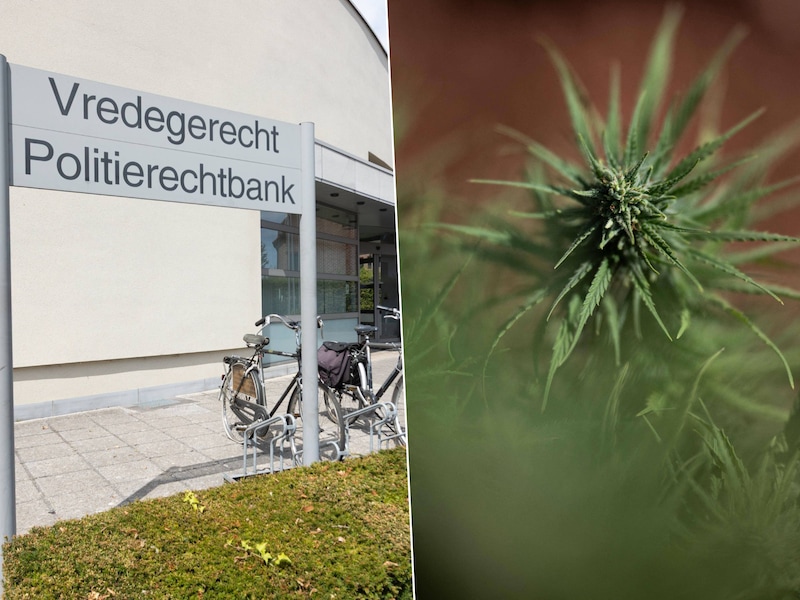 Man betrapt onder invloed achter het stuur na bezoek aan Nederlandse coffeeshop: “Ik voelde het niet meer”