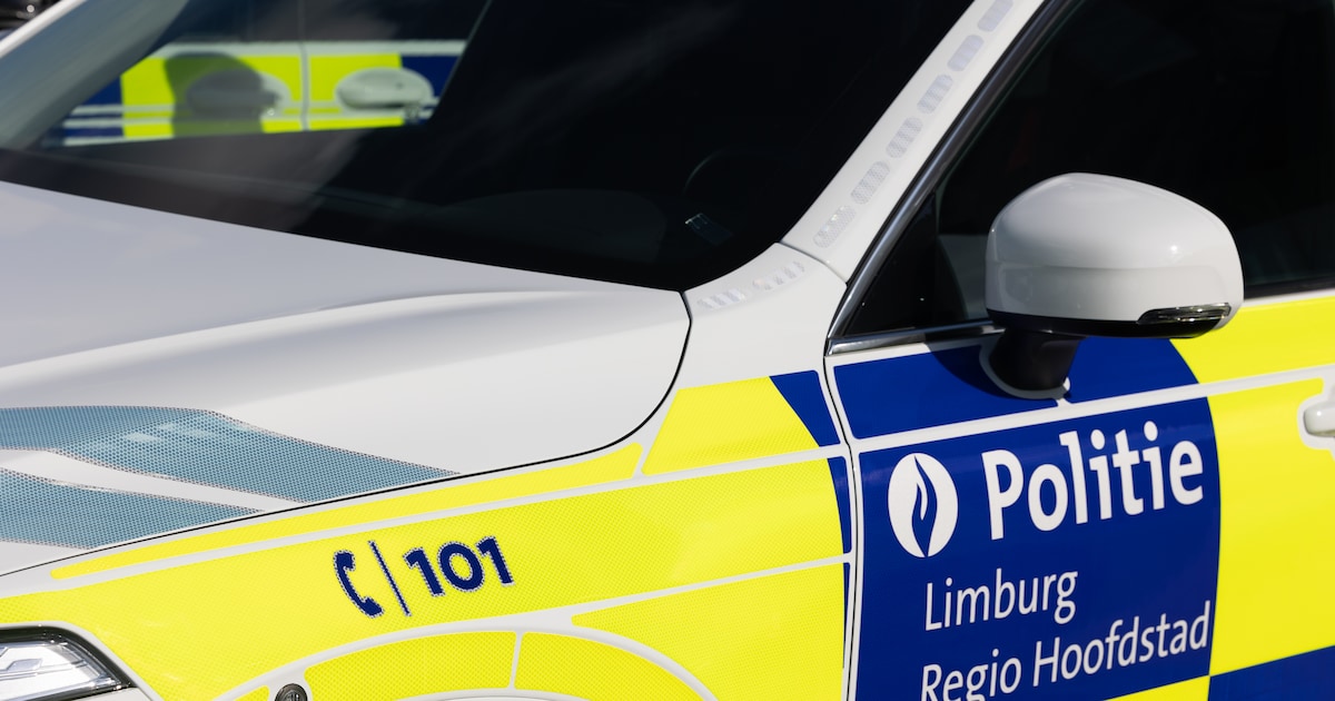 Verkeersactie in Hasselt: 10 van 17 vrachtwagens niet in orde