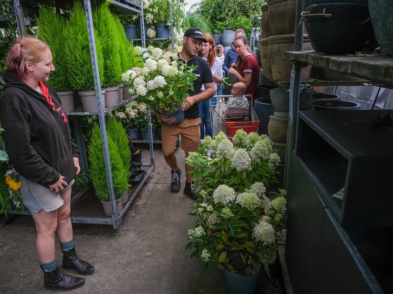 Rush op planten, potten en hebbedingetjes tijdens nieuwe plantenoutlet bij Bloemen Robberechts