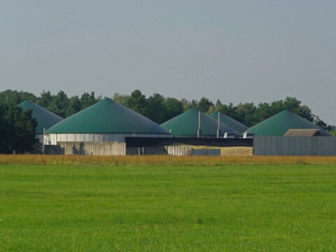 Nieuwe denkpistes over het uitbreken van de EHEC-bacterie wijzen in de richting van biogasinstallaties.
