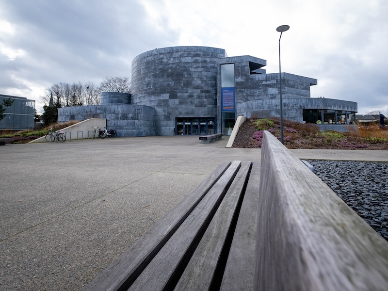 Nieuw cultuurseizoen in ’t Blikveld in Bonheiden gaat van start met optredens, workshopfestival en tentoonstelling