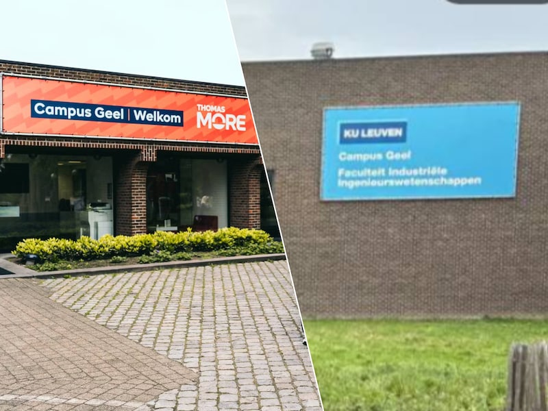 Stad Geel reikt voortaan drie studentenawards uit in plaats van twee
