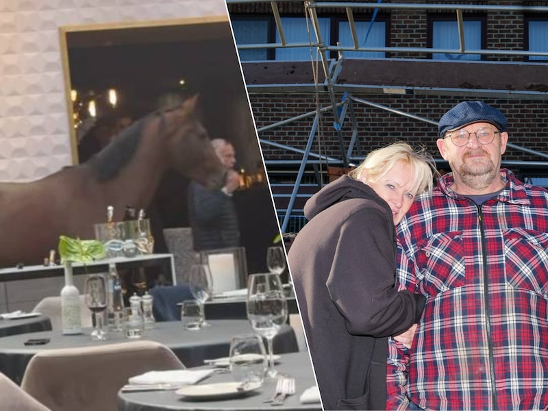 Een paard wandelt Bistrôt Le Ciel bij La Butte aux Bois in Lanaken binnen/ Sonja en Patrick (63) zagen gisteren hun nieuw dak en stelling in de voortuin belanden in Bilzen-Hoeselt.