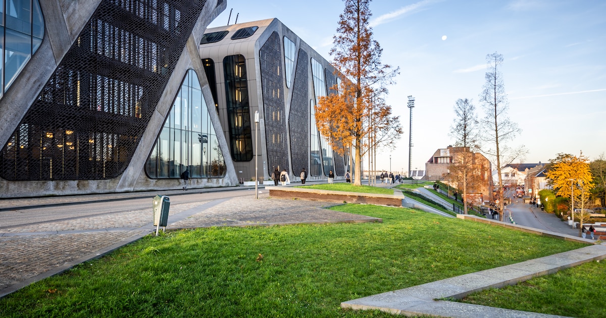 Veertiger uit Heusden-Zolder die buren terroriseerde geïnterneerd