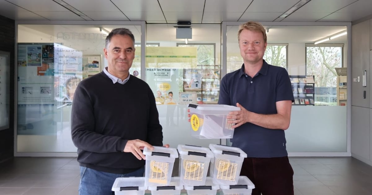 Assenede strijdt tegen Aziatische hoornaar: gratis lentevallen beschikbaar