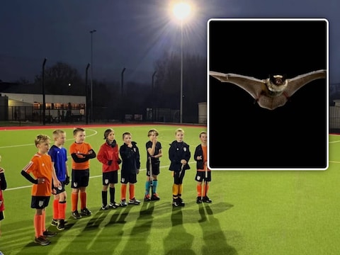 De verlichting op het hockeyterrein mag niet meer branden na zonsondergang en dat maakt trainen onmogelijk