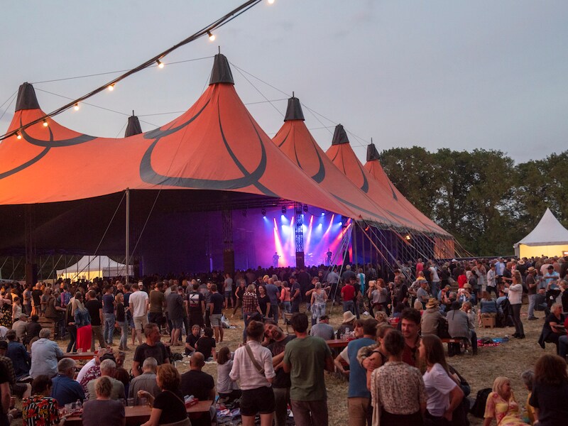 Blues Peer viert veertigste verjaardag met Los Lobos en 20.000 festivalgangers